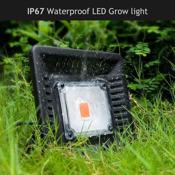 50 W puutarhaviljelyn LED-kasvatusvalo, IP67 vedenpitävä kasvuvalo