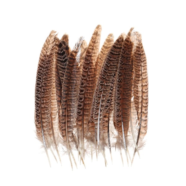 Fasanfjær 15-20CM - spot salg