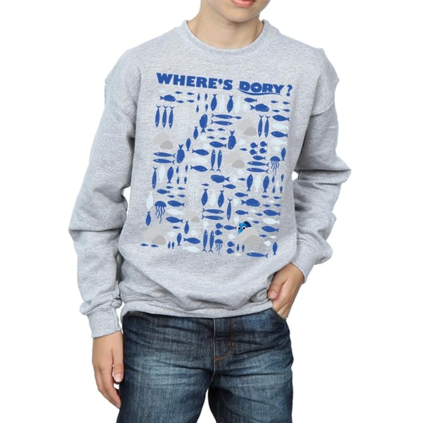 Disney Boys Finds Dory Var är Dory? Sweatshirt 5-6 år Spo Sports Grå 5-6 år