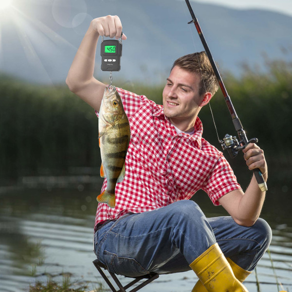 Bärbar elektronisk våg, 165 lbs/75 kg LCD-bakgrundsbelyst digital fisk