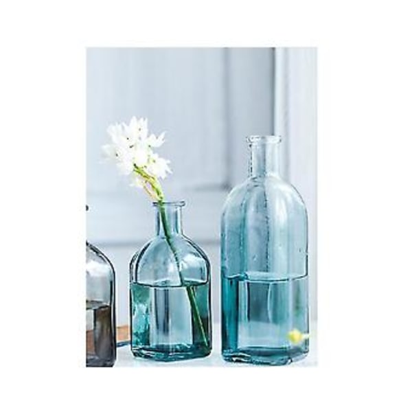 Läpinäkyvä S Hydroponinen Lasipullo Pöytä Kotikäsitöitä Koristeet Kukka Ce