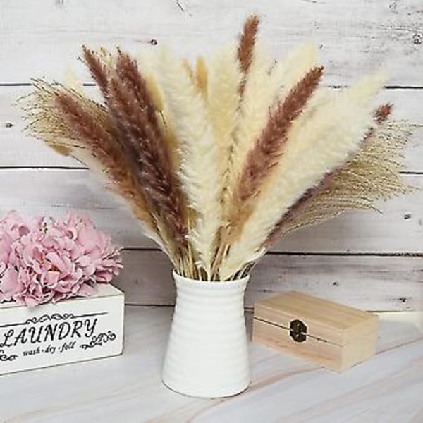 85 stk. Tørket Pampasgress R Pompass Gress Grener Tørket Bukett Boho Hjem R