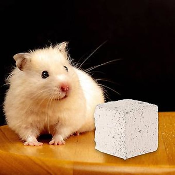 20 st Molar Hamster Chinchilla Kanin Lavablock Molarsten Hamster Litet Husdjur Bitresistent Kub