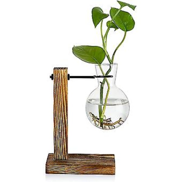 Transparent Vase Skrivebord Træstand Glas Klar Plantevase til Hjemmebord Skrivebord Indretning