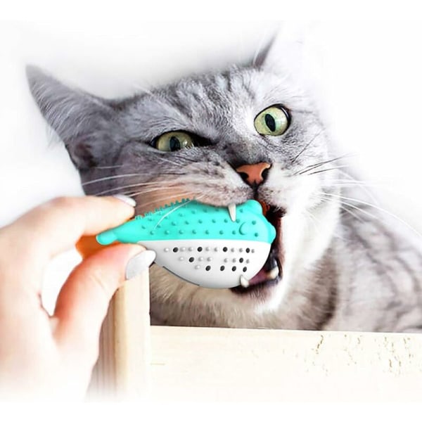 Kattandborste leksak, katt leksak sili molar leksak tugga kon leksak kattunge kattmynta tandborste fiskform interaktiv leksak katt tandhygien(Blå)-Fei Yu