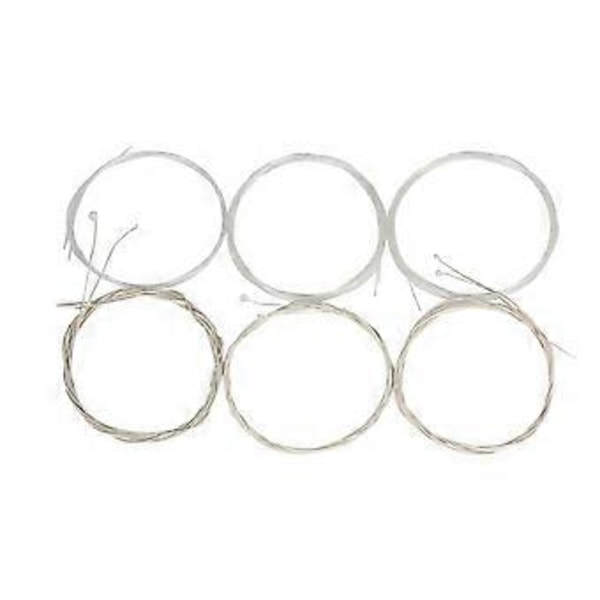 Oud Strengesæt (G-D-A-E-B-F) Klar Nylon Sølvbelagt Kobberlegering Viklet 12-Strenge