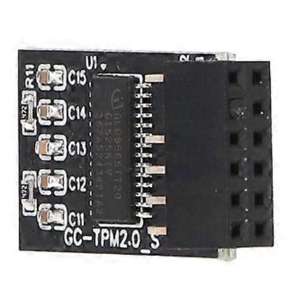 TPM 2.0 Modul LPC SPI 12Pin Fjärrkorts Krypteringssäkerhetskort Tillbehör för GIGABYTE