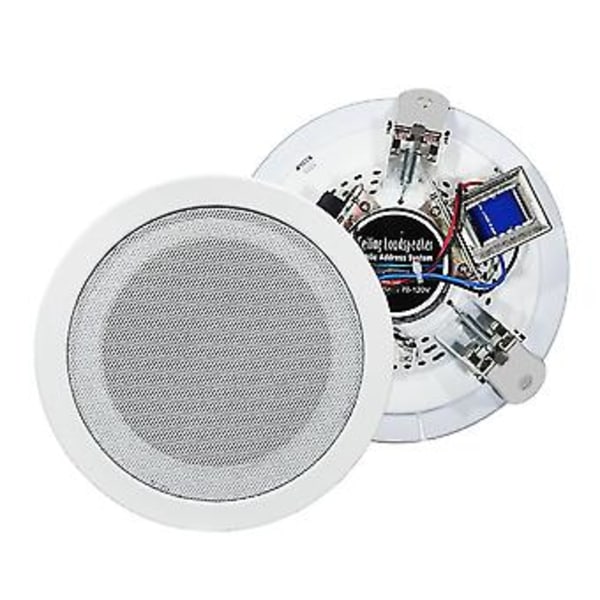 5 tuuman kattokaiutin, 10 W, voimakas ääni