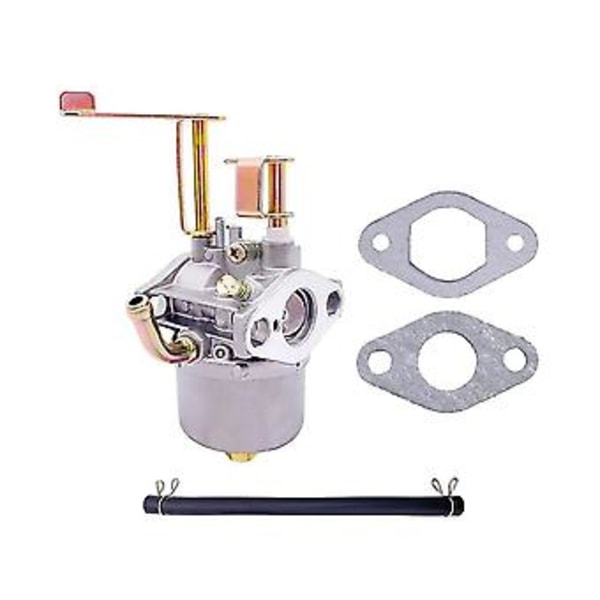 69733 Förgasarkit Passar För 79cc 98cc 99cc 68124 69733 Motor Med Packningar Bränsleledning