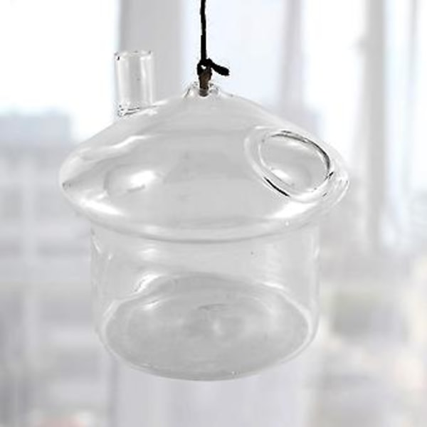 -sd Riippuva lasinen istutusruukku Rumble Tank Terrarium -astia kotiin En R