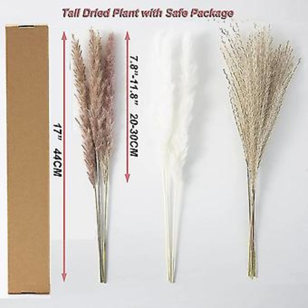Pampasgress Dekor, 100 stk Naturlig Tørket Luftig Pampasgress, 44,5 cm Tørkede Blomster For Boho Hjem