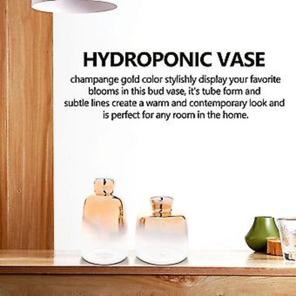 2-pack Glasvas Elektropläterad Vas Glasblomvaser För Hem R Torkad Blomma Bot
