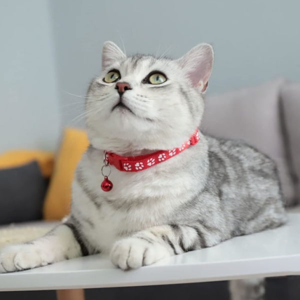 4 st Justerbara valp-ID-halsband med klocka för små hundar och katter