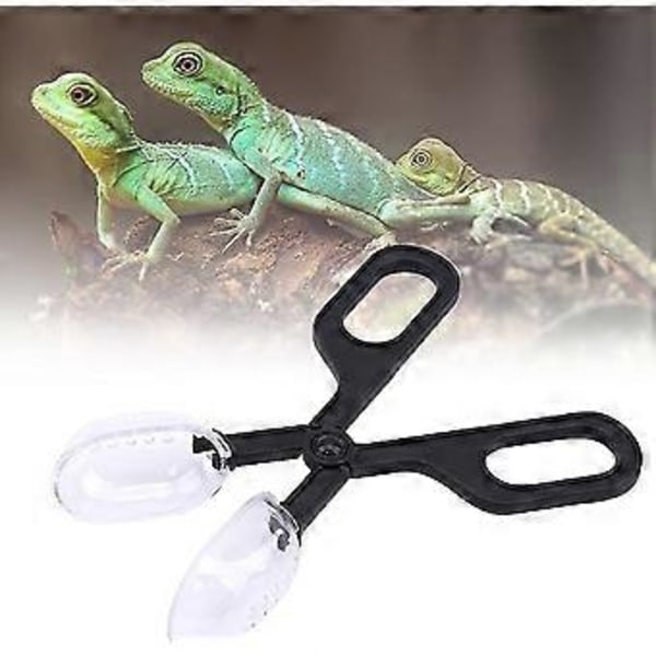 Reptil Insekt Tang, Reptil Fôring Tang Rengjøringsverktøy Tang For Tarantella Frosk Øgle