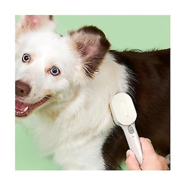 Hunde Ging Kam Tæt Tandet Kam Flydende H Fjernelse Knude Kam Børste H Fjernelse Værktøj Kæledyr Wh