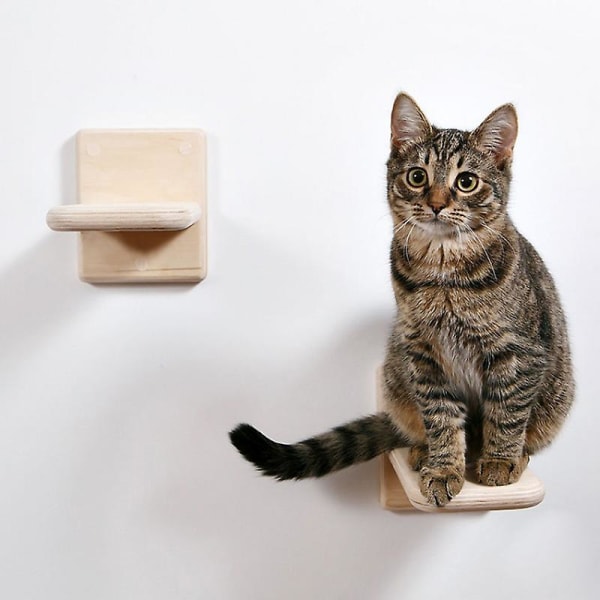 1 st kattvägg stativ DIY kattvägg katt stege