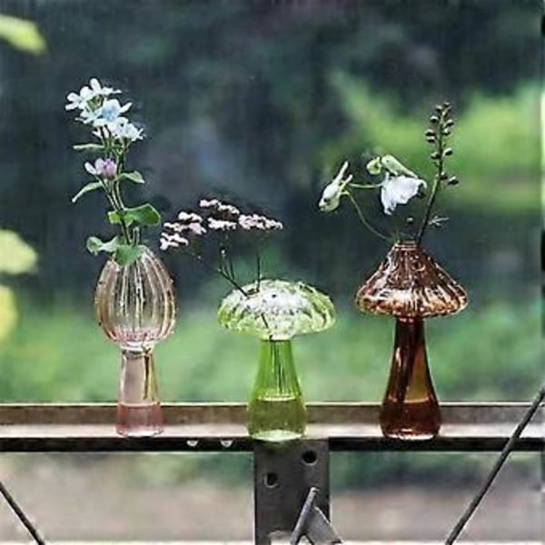 Svamp Glasvas Växt Hydroponisk Vas Hem Konst Transparent Aromaterapiflaska Liten Vas Bordsblomdekoration, C