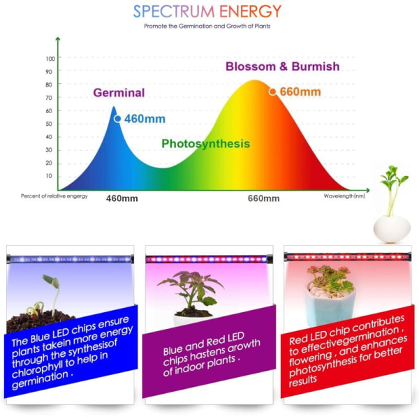 LED-kasvilamppu, kasvivalo sisäkasveille 80 LED täyden spektrin punainen sininen spektrin lamppu 10 himmennystasoa ja 4 päätä taimille ja Su