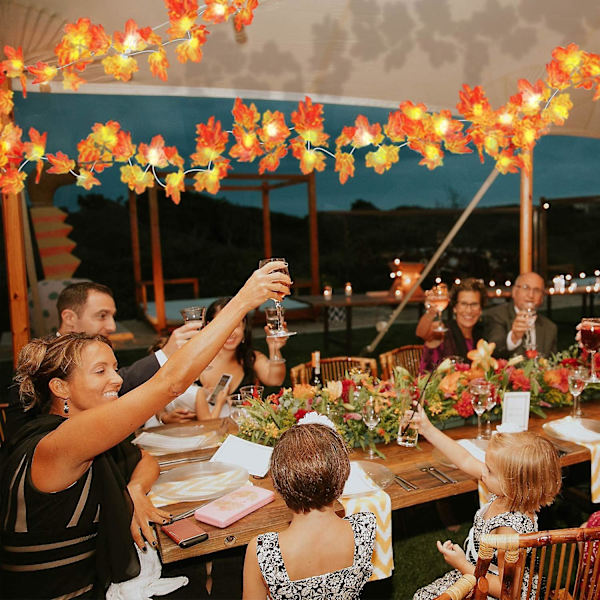 Led-ljusslinga 20 LED-ekorrlampor ljusslinga batteridriven 6,5 fot ljusslinga med fjärrkontroll för Thanksgiving höst sovrum jul Hallo