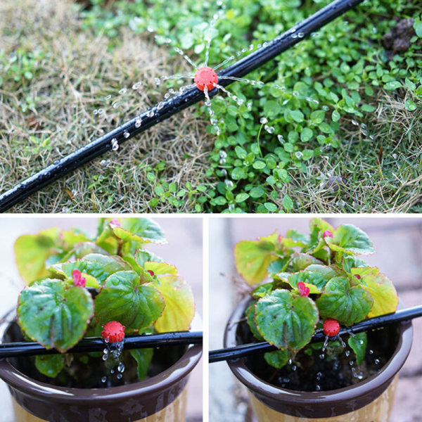100st justerbar röd droppare 8 hål 4/7 kapillär liten röd hatt munstycke Trädgårdsarbete Micro-spray droppbevattning Blomma vattning Fruktträd Gre