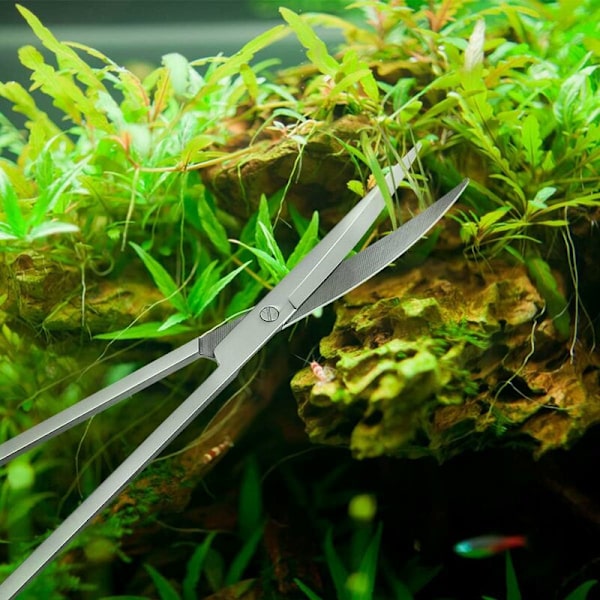 Akvariumväxt Saxar Rostfritt Stål Vågsaxar för Fisktankväxter 25CM