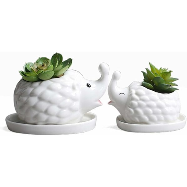 White Ceramic Flower Pot for Succulents in Hedgehog Shape, Flower Pot, Cute Pot for Cactus, Air Plants