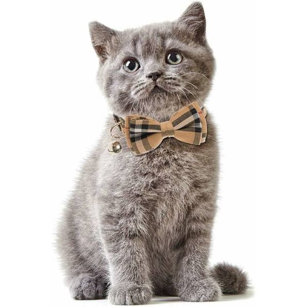 Halsband med fluga och klocka för kattungar och kattungar, justerbar från 7,8 till 10,5 tum (svart + brun)-Fei Yu