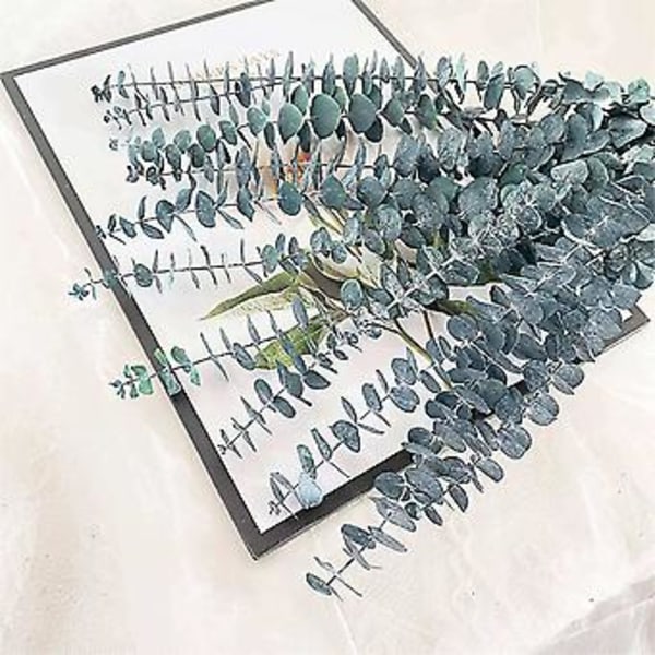10-pack Torkade Eukalyptusbuntar, konserverade Eukalyptusgrenar för Blomsterarrangemang