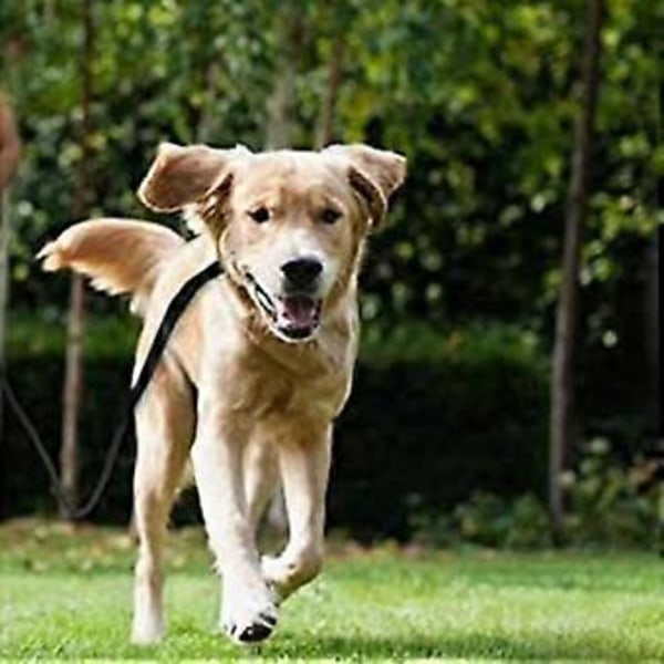 5m Infällbart Hundkoppel, Hundpromenadkoppel För Stora Mellanstora Små Hundar