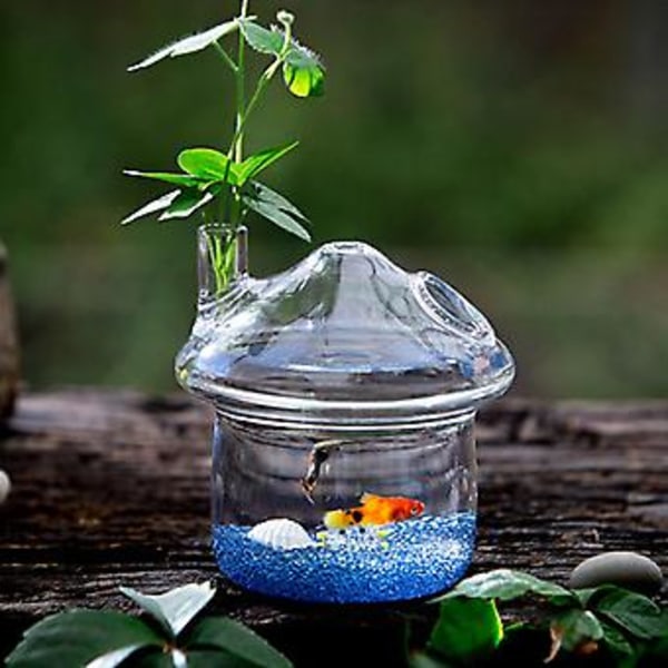 -sd Riippuva lasinen istutusruukku Rumble Tank Terrarium -astia kotiin En R