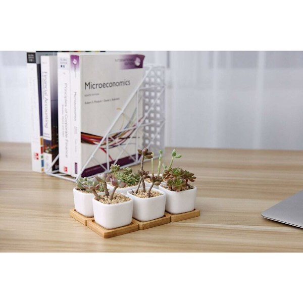 Hexagon Keramisk Sukkulent Potte med Hvid Bambus Bakke Sæt af 6, Kaktus Plante Planter Cache Pot Planter Beholder Hjemmekontor Dekoration-Fei Y