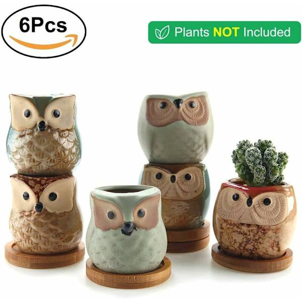 .5CM Keramisk Krukväxt, Sukkulent Kruka med Bambu Bricka och Uggla Form Set om 6, med Dräneringshål, Planteringsbehållare Kruka för Hem Hylla Kontor