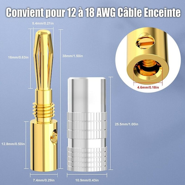 Bananplugg 5 par (10 stk) gullbelagt for høyttalerkabel med en diameter på 0,75 mm til 4 mm, bananplugg for HiFi-høyttaler, forsterker, høyttaler