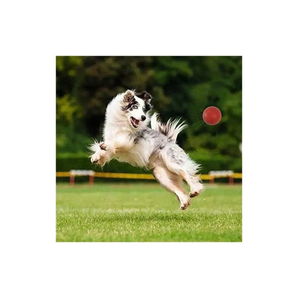 Uforgængelig hundebold hundetyggelegetøj til aggressive tyggere, hundetræningstilbehør, solid gummibold lavet af ren naturgummi, 7 CM, Re