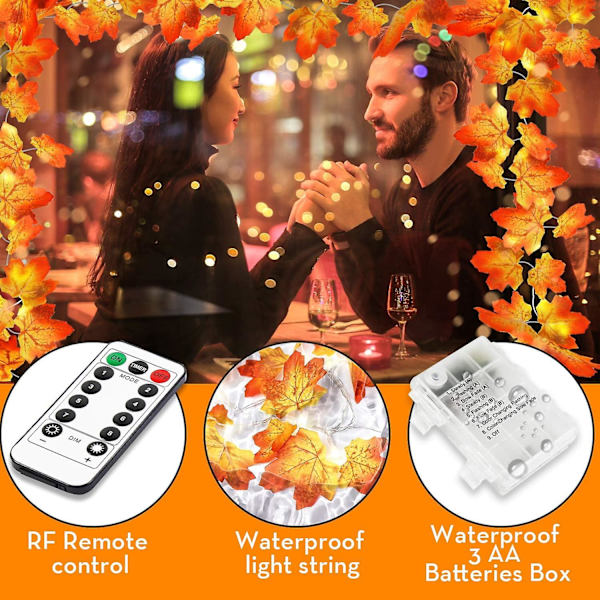 Led-ljusslinga 20 LED-ekorrlampor ljusslinga batteridriven 6,5 fot ljusslinga med fjärrkontroll för Thanksgiving höst sovrum jul Hallo
