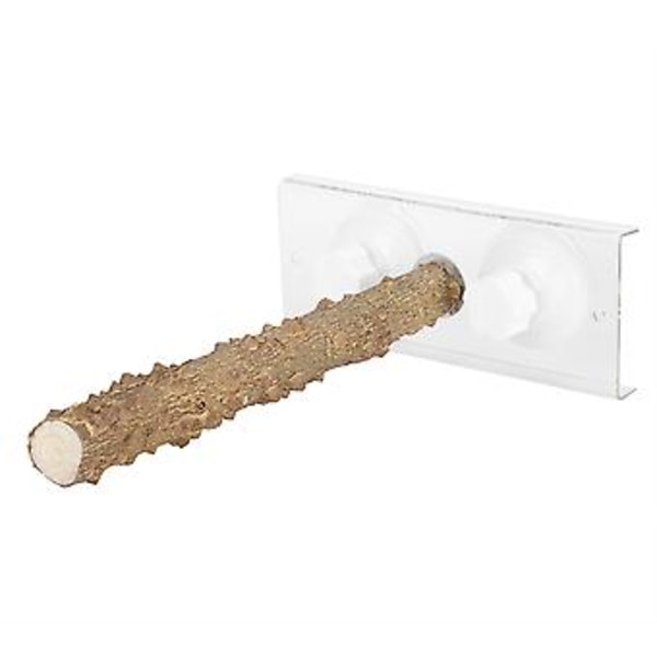 25 cm Papukaijat Ulkokäyttöön Kannettava Puinen Seisomatanko Lemmikkilinnun Suihkuteline Imu Kupilla