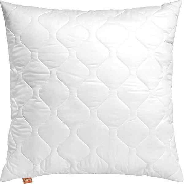 Set med 2 mikrofiberkuddar 65 x 65 cm, vit