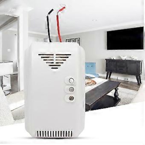2st 12V LPG Propan Butan Brännbar Gasläcka Larm Detektor Sensor LED Blixtlarm Ljudmotor