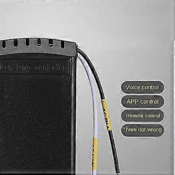 Universal Smart Wifi Viftebryter Takvifte Og Lys Fjernkontrollsett, 110v Wifi Viftekontroller R