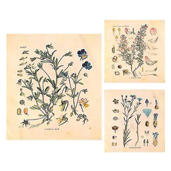 3 st Blomsterväv Gobeläng Väggbonad Vildblomma Växt Floral Gobeläng Diagram Liten Gobeläng För Sovrum