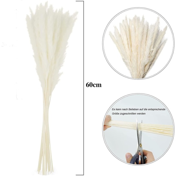 Torkade Pampasgräs, Naturliga Pampasgräs Torkade Pampas, Pampasgräs Naturligt, Torkade Vass, Torkade Blommor, Pampasgräs För Heminredning (10 Pie
