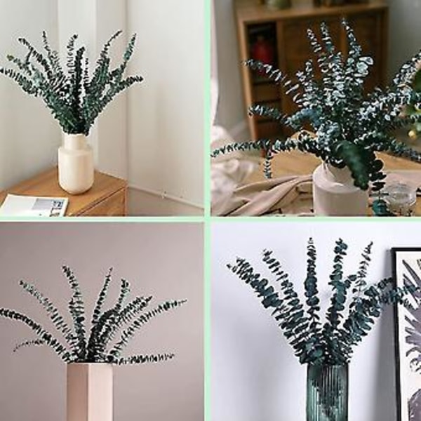 10-pack Torkade Eukalyptusbuntar, konserverade Eukalyptusgrenar för Blomsterarrangemang