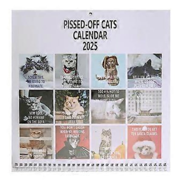 2025 Pissed-Off Cats Kalender Rolig Katt Väggkalender Katter Väggkalender 2025 Kalender Katt Skrivbordskalender