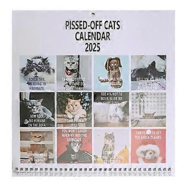 2025 Pissed-Off Cats Kalender Sjov Kat Vægkalender Katte Vægkalender 2025 Kalender Kat Skrivebordskalender