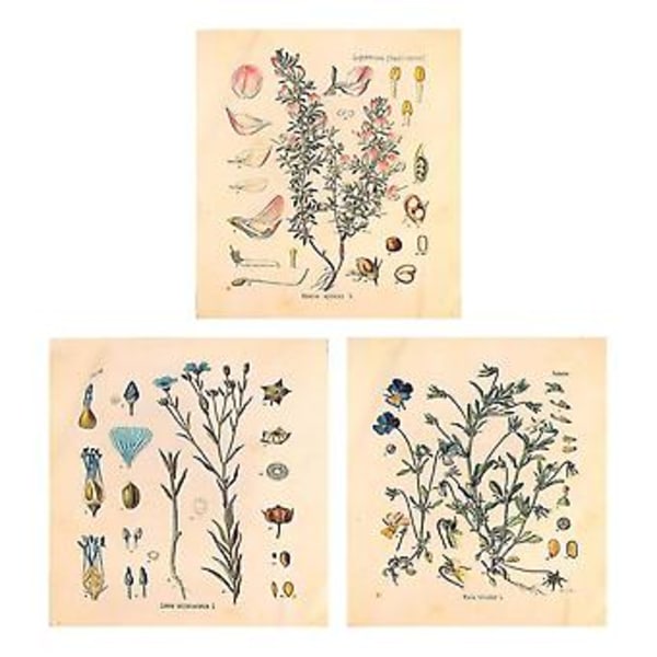 3 st Blomsterväv Gobeläng Väggbonad Vildblomma Växt Floral Gobeläng Diagram Liten Gobeläng För Sovrum