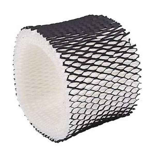 Til Hwf62 Kompatibelt Filter (2 stk)