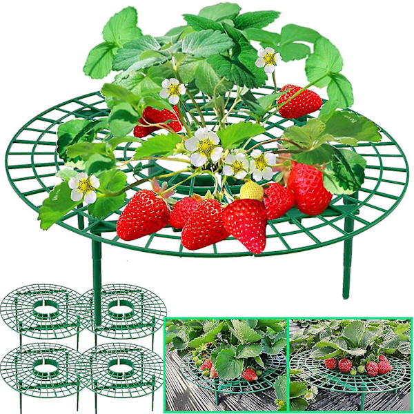 5-pack jordgubbssupport Jordgubbsväxtstöd Jordgubbsodlingsställ Jordgubbsodlingsram