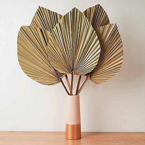 Tørrede blade R 5 stk. - 45 cm H X 25 cm B blad