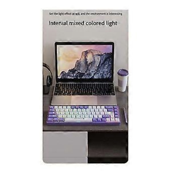 AK680 Mekaniskt Gamingtangentbord ABS Keycap 68 Tangenter Trådbundet Tangentbord Hot Swap för PC Laptop Lila Vit B