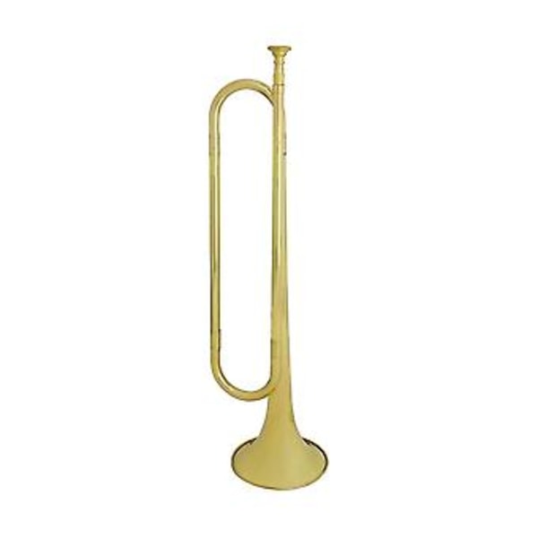 Number En Trumpet Char Number Number Student Number